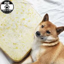 Epingle Sur Panier Pour Chien Chat