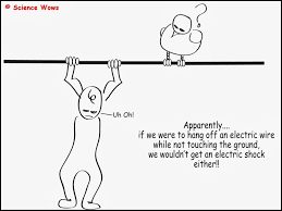 Why Do Birds Not Get Electrocuted When They Land On Electric Wires Science Wows Investigates Science And Nature Science Nature Blogs