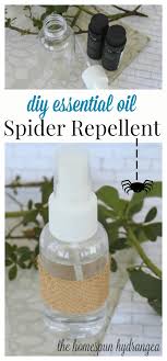 Spray the ammonia spray around entry points in your house and other places where spiders tend to gather. Diy Essential Oil Spider Repellent Spray The Homespun Hydrangea