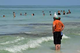 low to medium red tide levels linger in sarasota county