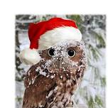 Owl-elujah Christmas