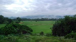 The most cheapest way how to get from butterworth to kuala lumpur is to travel by tourist bus. Train Travel Guide Singapore Kuala Lumpur Penang Bangkok