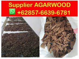 Agarwood essential oil distillation machine molecular distillation. Suppliers 62 857 6639 6781 Whatsapp Agarwood Oil Price Per Kg