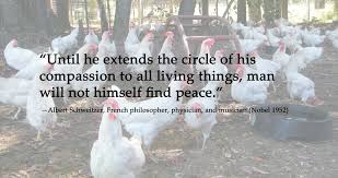 For any that are hunted or lost or deserted or frightened or hungry; Quotes Ny Farm Animal Save