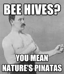 Overly Manly Man Strikes Again Overly Manly Man Manly Man Meme Funny