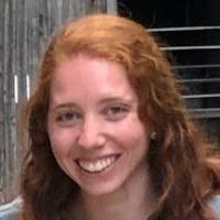 800+ "-amco- Ehrlich" profiles