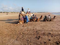 Essaouira motels essaouira campgrounds essaouira hostels essaouira family hotels essaouira resorts romantic hotels essaouira spa resorts essaouira business ways to tour essaouira. Day Trip To Essaouira From Marrakech Marrakech To Essaouira Shared Tour