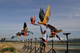 Ciri tumbuhan mesofit seperti daunnya tipis dan lemar. Aktivitas Komunitas Free Fly Burung Macaw Di Kendari Republika Online