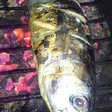 Nov 27, 2020 · gambar ikan tongkol bakar.kumpulan gambar ikan konsumsi, hias, dan laut. Jual Ikan Bakar Tongkol Besar Kota Tangerang Shoppingbless2 Tokopedia