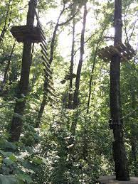 Skypark Parco Avventura Rimini Italy Top Tips Before You Go Tripadvisor Trip Advisor Rimini Photo