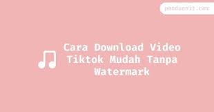 Cara Download Video Tiktok Mudah Tanpa Watermark Video Aplikasi