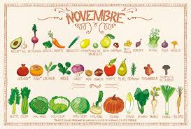 My Practice Life New Job New Life New Style Fruits Et Legumes De Saison Legumes De Novembre Legumes De Saison Novembre
