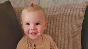 Dog walker died of bites to neck, inquest told