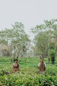 Kebun karet bsb · 5. 18 Ide Prewedding Malang Kebun Teh Kebun