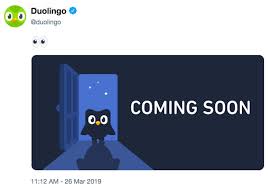 Well i had a dream that we were all memeing about making out with him (like…that was all. Evil Duolingo Owl Know Your Meme