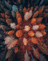 Birds Eye View Photography Definition Gefallt 9 601 Mal 22 Kommentare Tentree Auf Instagram Nothing Like A Bird S Eye View To Get A Little Persp Autumn Photography Beautiful Fall Autumn Trees