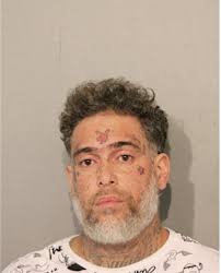 ᐅ Illinois Criminal Records 2009-2026