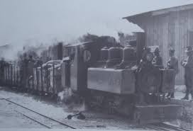 Forgotten Tiny Trains Did Mighty Big Job Abandoned Train Train Steam Engine Trains