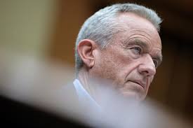 Video of Dogs' Reaction to Owner Hiding in Trash Bag Will Make Your Day