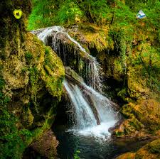 Directia silvica is a instituţie publică located at veteran turcanu in vaslui. Directia Silvica Satu Mare Posts Facebook