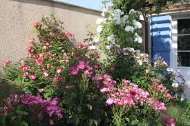 Over the time it has been ranked as high as 4 569 in the world, while most of its traffic comes from france, where it reached as high as 178 position. Visite Du Jardin Du Chat Vert Plaisir Jardin Com