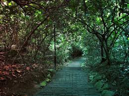Tan lay lan murder (2008) on 17th july 2008, tan lay lan, a freelance masseuse, was last seen getting out of a cab with an unknown man near her home in chai chee avenue. 10 Epic Unsolved Crimes In Singapore S History From As Early As 1972 Fit For A Csi Remake