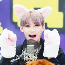 lee felix with kitty ears and paws 🥺