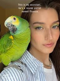 17 top Jessica Clements Favorite Beauty Products ideas in 2024