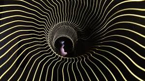 Image result for Thesium dissitum