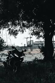 Pretty well looking girls show body pics sets (pages: Black Motorcycle Parked Near Tree During Daytime Photo Free Motorcycle Image On Unsplash