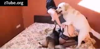 zTube - Page 33 of 101 - Art Of Zoo Skool Tube - Bestiality Porn Videos
