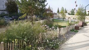 Epingle Par Ann Excendent Sur Paysagr En 2020 Parc Et Jardin Jardins Amenagement Jardin