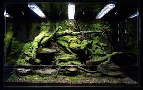 Custom Stream Bed Paludarium By Biovivara Reptile Terrarium Vivarium Aquarium Landscape