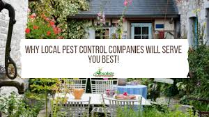 Pest issues can plague the process if you aren't while you'll be keeping the house and yard maintained to look its best for visitors, make sure to do. Why Local Pest Control Companies Will Serve You Best Home Of Absolute Pest Control