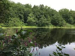 This photo was taken on october 20, 2012, at the local peak of foliage color. Great Hiking Trails Review Of Cranberry Lake Preserve White Plains Ky Tripadvisor