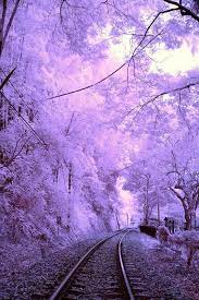 in taiwan nantou jiji 台灣南投集集鐵道 railway in wonderland 魔境鐵道 dsc 9119 beautiful landscapes purple aesthetic nature photography