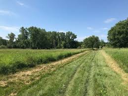However, ski teams were on the trails wednesday and thursday, and they have packed them somewhat. Lake Elmo Park Reserve Minnesota Beliebte Routen Alltrails