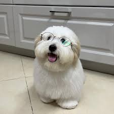 How beautiful is my girl Mabel ❤️