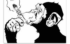 Berbagai gambar hitam putih dibawah ini juga bisa kalian jadikan sebagai status whatsapp, instagram, foto profil facebook atau dijadikan sebagai wallpaper handphone kalian. Terpopuler 30 Gambar Anime Merokok Keren Fashion Hitam Putih Merokok Gorilla Hewan Seni Poster Pribadi Dinding Gambar Lukisa Gambar Keren Gambar Gambar Anime
