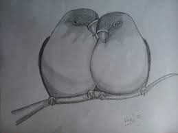 How To Draw Two Cute Lovebirds Very Easily With One Pencil Drawing For Beginners Youtube Drawing For Beginners Drawings Bird Drawings