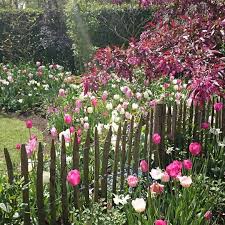 Oppevlaos On Instagram Open Tuin Brookergarden In Hout Blerick Limburg Mooie Combinaties Met Bloembollen Brookergarden Tuin Instagram Tuinieren