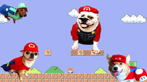Dogs Falls Compilation Super Mario Bros Style Youtube