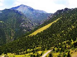 The natural diversity of the country has plains and mountain landscapes organically combined. The Nature Of Uzbekistan Novotours Silk Road Travel Agency Touropertor In Tashkent Uzbekistan
