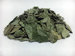 Image result for Desmodium