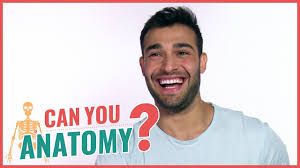 Sam asghari is an american model and fitness personal trainer who has appeared on many fitness magazines, commercials, and prints. Actor Sam Asghari Answers Basic Anatomy Questions Youtube