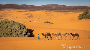 Take into account that usually. Glamping In The Sahara Desert Morocco Passport Pixels