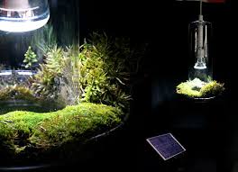 Green Light Botanical Lamp Terrarium Air Filter All In One
