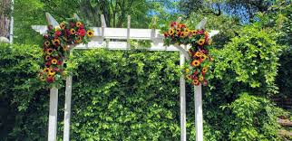 Maybe you would like to learn more about one of these? Kato Floral Designs Posts Facebook