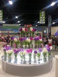 You can see how to get to field of flowers on our website. Davie Florida Field Of Flowers Wholesale