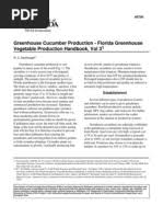 Image result for Monadenium pudibundum